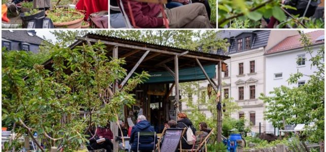3 Parlamente, eine Stadt – alle kämpfen für mehr Klimaschutz 3 Parlamente, eine Stadt – alle kämpfen für mehr Klimaschutz